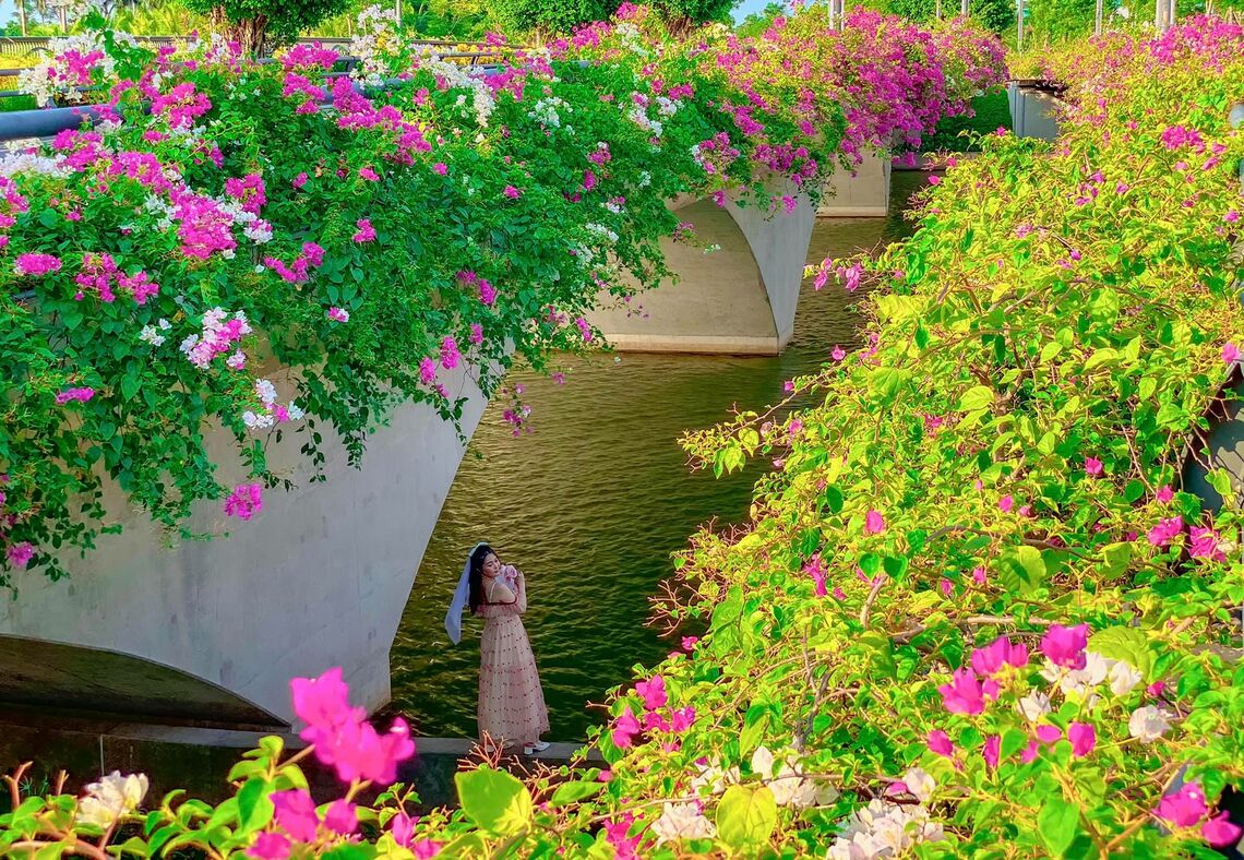 Cầu Thủy Tiên-Fb. Linh Dore