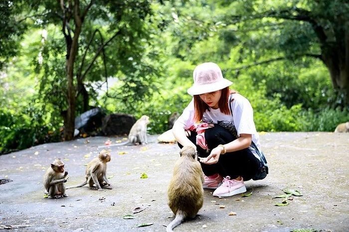Đảo Khỉ Cát Bà-ảnh: internet