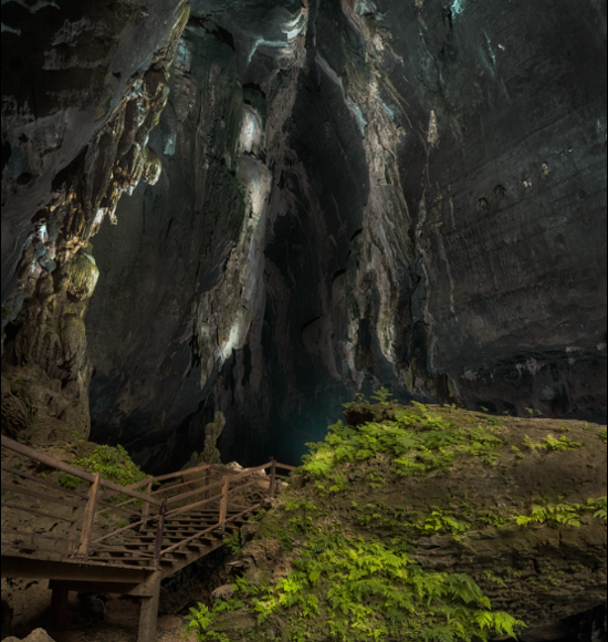 (Ảnh: fb. Hang Tối - Dark Cave)