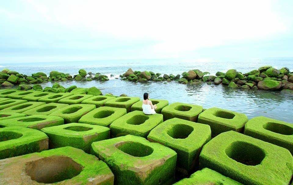 Ảnh: Fb. Bãi đá rêu xanh xóm rớ Phú Đông Phú Yên