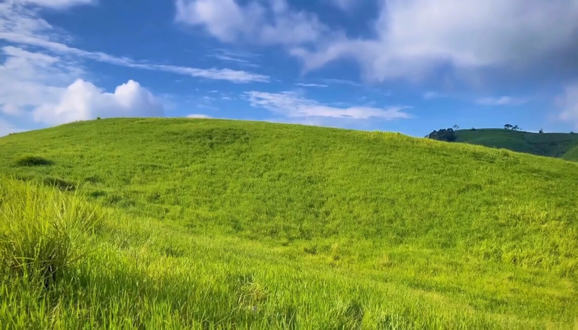 Vừa qua, bên cạnh "biển vô cực" Thái Bình, đồng cỏ 68 Mộc Châu cũng là điểm đến gây sốt trên mạng xã hội. Nơi đây được ví như "đồng cỏ huyền thoại Windows" với hình ảnh đồi cỏ xanh nhấp nhô, uốn lượn, "chạm" vào nền trời trong vắt. Ảnh: FB@anhnguyet